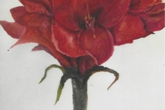 Nr. 1 Rote Blume